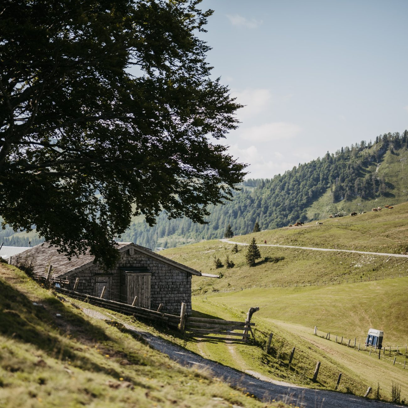 Nicole und Markus feiern ihre freie Trauung auf der Genneralm in Hintersee am 22. Juli 2024. Ein Tag voller Liebe, Natur und unvergesslicher Momente.