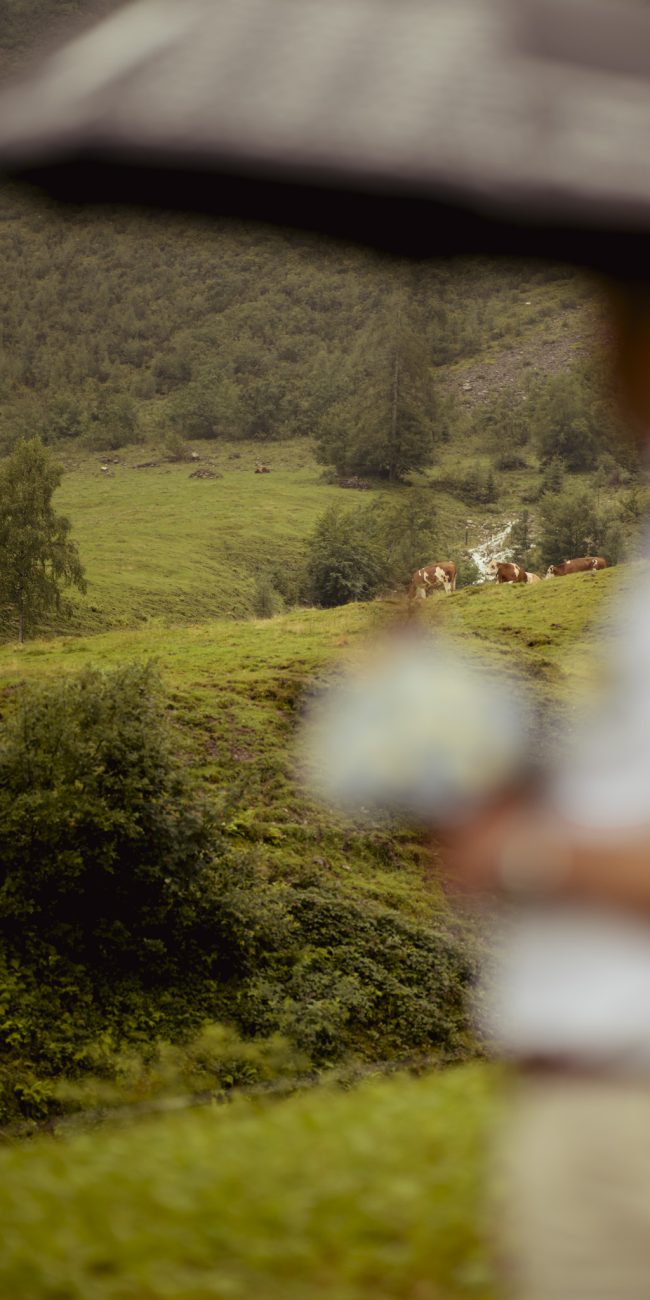 Brautpaar mit Regenschirmen auf der Gruberalm in Salzburg